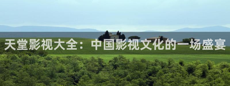 窝窝网电影电视剧免费观看