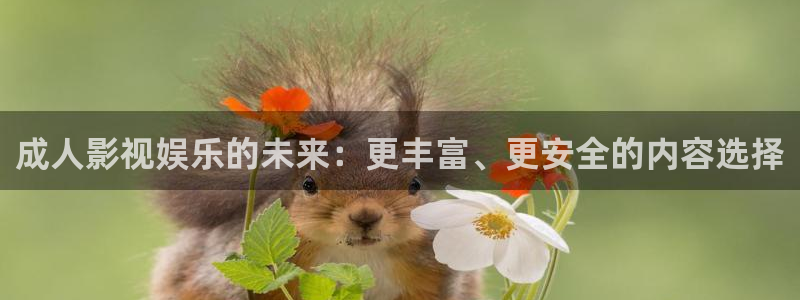 窝窝影视在线高清电影网动漫