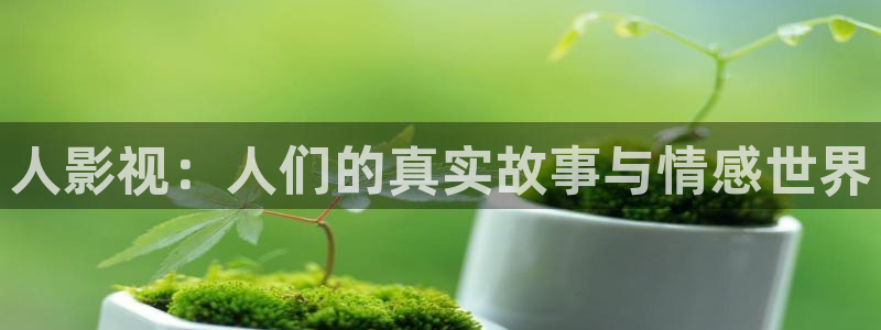 窝窝免费高清影视