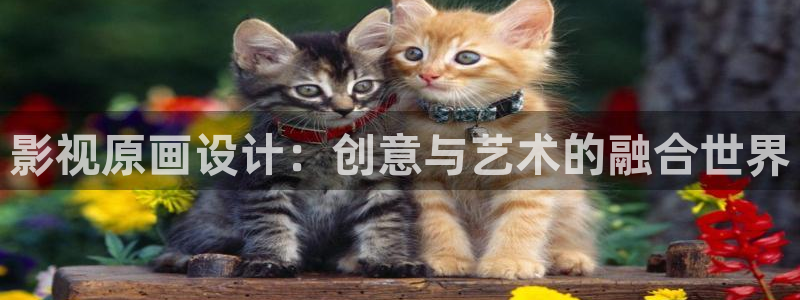 窝窝午夜影院：影视原画设计：创意与艺术的融合世界