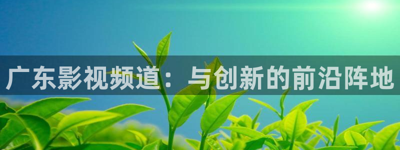 窝窝影院97影院：广东影视频道：与创新的前沿阵地