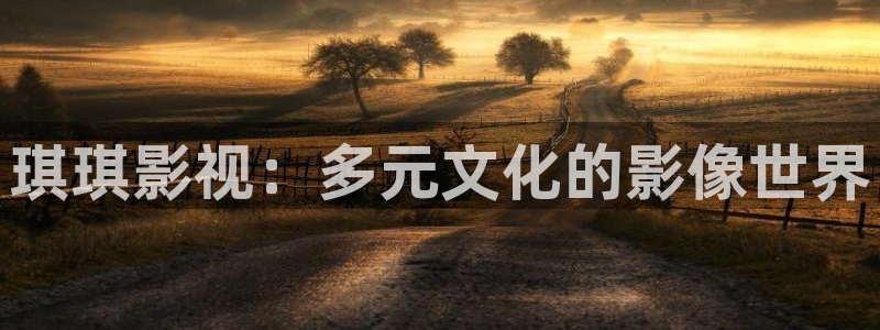 窝窝影视午夜：琪琪影视：多元文化的影像世界